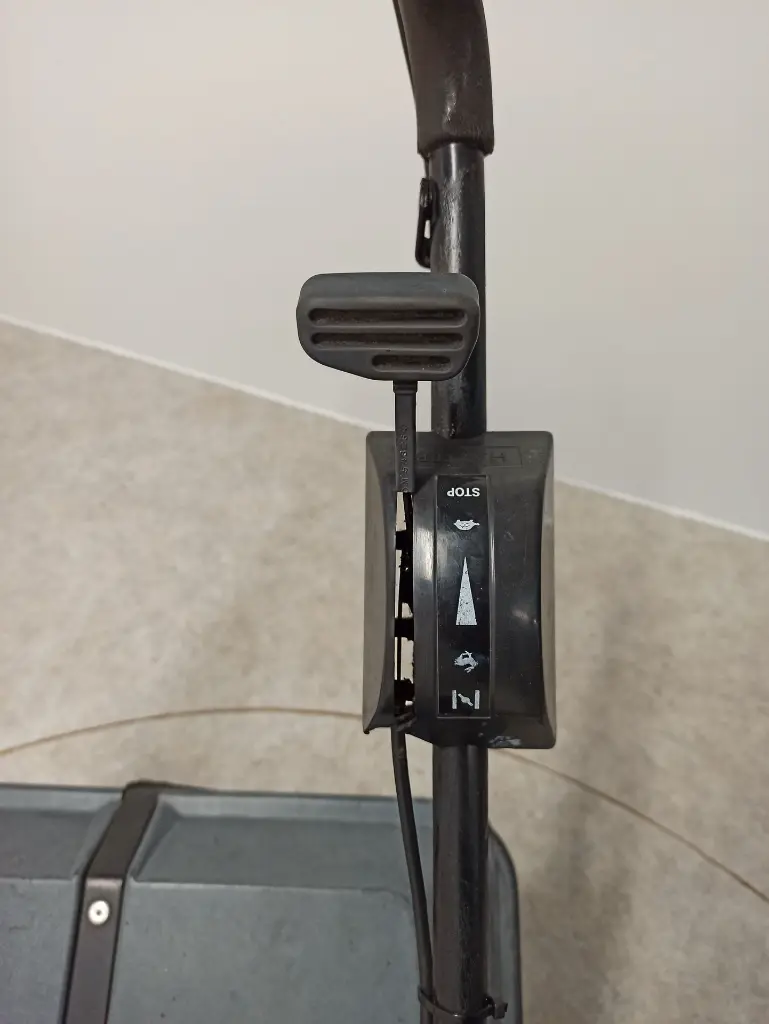 IMG_20241104_091637.webp