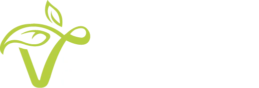 van Gilst BV