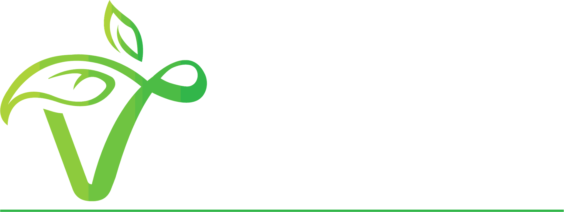 van Gilst BV